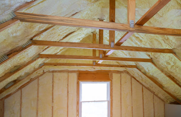 Best Residential Insulation in Luck, WI